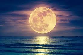 Ein weiteres schönes motiv aus frankfurt: Horoskop Diese 3 Sternzeichen Beflugelt Der Supermond Am 27 April Gala De