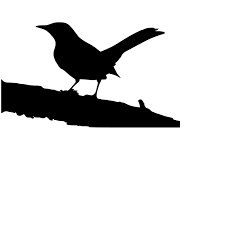 Bird Sitting On Branch Png Tree Branch Clip Art Free Cliparts Co Plantas