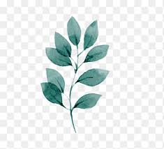 Palm leaf · free pngs, stickers, photos, aesthetic backgrounds and wallpapers, vector illustrations and art. Tropical Leaves Png Images Pngegg
