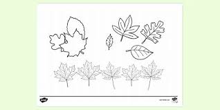 We've rounded up the best u.s. Autumn Leaves Colouring Page Resources Activities