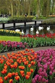 Pin By Bernadette Springard On Manzara Most Beautiful Gardens Beautiful Gardens Beautiful Landscapes