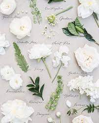 Known for representing purity, white flowers are a the scientific name for carnations is dianthus caryophyllus, meaning flower of the gods. Bloomspiration Collaboration With Theheirloombouquet Types Of White Flowers Types Of Flowers Bouquet