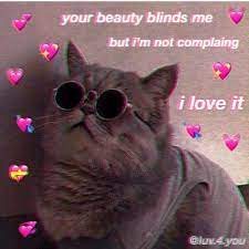 We did not find results for: Tag Your Crush Love Bf Gf Follow Aka Affection For More Akaaffection Wholesome Memes Meme Wholesome Cute Cat Memes Cute Love Memes Love Memes