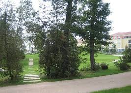 Green Concept Renaud Ducher Parc Public A Meyzieu Theatre De Verdure Pas Japonais Theatre De Verdure Green Concept Parc Public