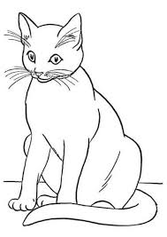 Whether you're interested in drawing cute cartoon characters, learning the comic book style, or using adobe illustrator to make cartoons. Desainer Cartoon Cats Animal Steemkr