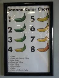 Local Wholesaler Has This Meaningless Banana Color Chart