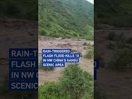 Rain-triggered flash flood kills 10 in NW China's Gansu scenic area