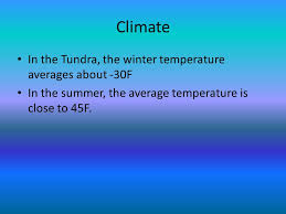 tundra climate in the tundra the winter temperature