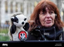 Stephen badger hi-res stock photography and images