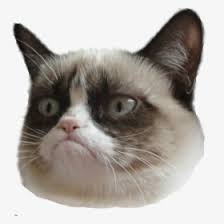 Angry Cat Png Images Free Transparent Angry Cat Download Kindpng The free images are pixel perfect to fit your design and available in both png and vector. angry cat png images free transparent