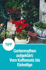 Gartenmythen Blogger Decken Auf Was Dran Ist Und Was Nicht Garten Gartentipps Gartenarbeit