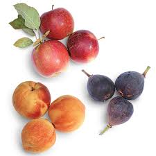 The orangish yellow fruits are rounder than other lemon varieties and the meyer lemon produces a tart and slightly sweet flavor. How To Grow Dwarf Fruit Trees Great Gardeners Tips