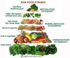 harnessing the power of raw food vegan food pyramid vegan