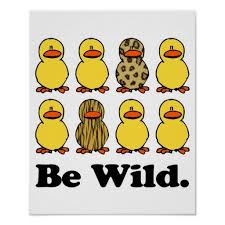 Seien Sie Wildenten Poster Zazzle De Mit Bildern Tiermuster