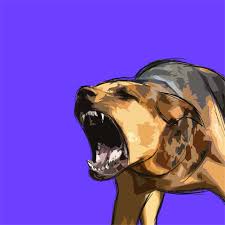 Image result for Rabies