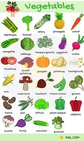 Transport Name Fruits Name Flowers Name Shapes Pictures Animals Name Vegetables Flowers Name In In 2020 Learning English For Kids English Vocabulary Learn English