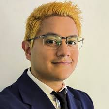 Nicolás Sarmiento: Ausbildung und Berufserfahrung