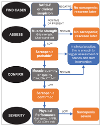 We did not find results for: Nutrients Free Full Text Nutrition And Muscle Strength As The Key Component Of Sarcopenia An Overview Of Current Evidence Html