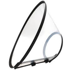 pet doctor dog plastic elizabethan collar small singapore pet lovers centre