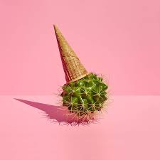 Cactus Ice Scream C Paloma Rncon Frida Pinterest Art Photographie Et Art Surrealiste