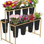 THE STAND Flowers Florist from www.amazon.com