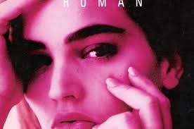 Kill City: The Return of Sonja Blue