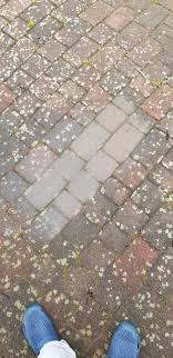 Flechten Entfernen The Easy Way Reens Blog Garten Pflaster Moos Entfernen Unkraut Entfernen