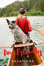 22 Places To Vacation With Your Dog Dog Friendly Vacation Dog Friends Dog Vacations