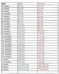 English Mastiff Feeding Chart Goldenacresdogs Com