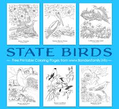 The spruce / kelly miller halloween coloring pages can be fun for younger kids, older kids, and even adults. State Bird Coloring Pages Free Printable Flanders Family Homelife