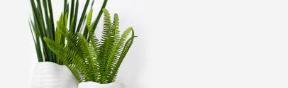 Check spelling or type a new query. Real Touch Real Touch Flowers And Plants Wholesale