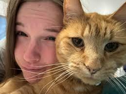 Cat euler found in basement after going missing