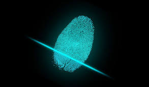Check spelling or type a new query. New Credit Card Uses Biometric Fingerprinting To Pay Springwise