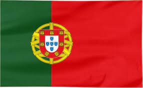 Pngtree > darmowe wektory > portugalia etykieta flagi wektor wzór projektu ilustracja. Flaga Portugalia 100x60cm Flagi Portugalii 5950265094 Allegro Pl