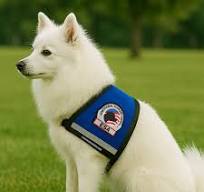 Premium Large Reflective Emotional Support Dog Vest - Zipper Pocket ID  Holder