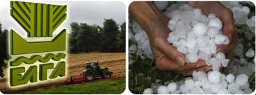 ÎÏÎ¿ÏÎ­Î»ÎµÏÎ¼Î± ÎµÎ¹ÎºÏÎ½Î±Ï Î³Î¹Î± Î±ÏÎ¿Î¶Î·Î¼Î¹ÏÏÎµÎ¹Ï ÏÏÏÎ¹ÎºÎ®Ï ÏÎ±ÏÎ±Î³ÏÎ³Î®Ï ÎºÎ±Î¹ Î¶ÏÎ¹ÎºÎ¿Ï ÎºÎµÏÎ±Î»Î±Î¯Î¿Ï