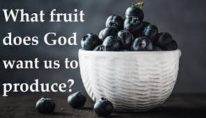 Check spelling or type a new query. What Fruit Does God Want Us To Produce Salvationcall