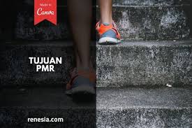 Misi biasanya terdiri dari beberapa kalimat penjabaran atau berbagai macam poin yang lebih banyak dibanding visi. 10 Tujuan Pmr Yang Perlu Kamu Tau Saat Ikut Ekskul Ini
