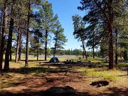 And wildlife devotees will discover a whole new world as they traverse the roads and trails through bearizona wildlife park. Perfect Tent Camping Review Of White Horse Lake Campground Williams Az Tripadvisor