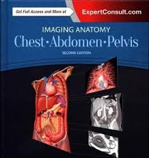 Basic rib anatomy consists of a head, neck, tubercle, angle, shaft, and costal groove. Imaging Anatomy Chest Abdomen Pelvis Von Michael P Federle Isbn 978 0 323 47781 9 Fachbuch Online Kaufen Lehmanns De