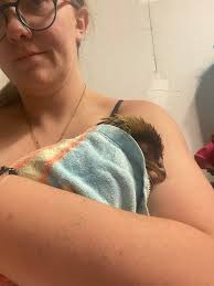 Why is my chicken making a clucking sound?