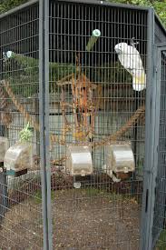 Used Bird Cages For Sale Near Me Suncatcher Bird Cage Testimonials Bird Aviary Bird House Kits Aviary
