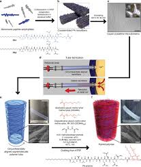 17.75 x 28.25 18 count: Covalent Supramolecular Hybrid Polymers As Muscle Inspired Anisotropic Actuators Nature Communications
