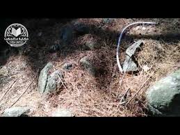 طرق جديدة في تمويت اﻷشجار Youtube