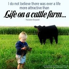 Livestock Motivational Quotes For Pinterest One Line Motivational Quotes Farm Kids Country Quotes