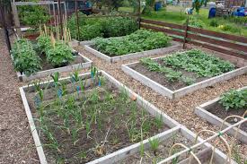 We did not find results for: Crop Rotation In The Small Vegetable Garden