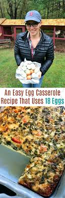 Fresh zucchini and plum tomatoes stand in for heavy hollandaise sauce and canadian bacon. An Easy 18 Egg Casserole Recipe That Uses 18 Eggs One Hundred Dollars A Month