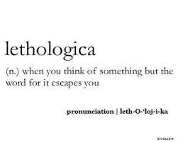 What S The Word For When You Can T Remember A Word Weird Words Unusual Words Uncommon Words