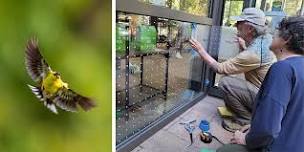 Creating Safe Spaces for Birds