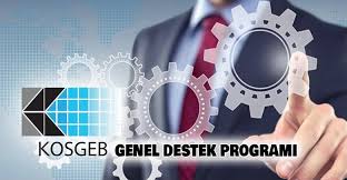 En üst düzey olan bu destek programında ise 300 bin tl harcama yapılması. Kosgeb In 2021 Destekleri